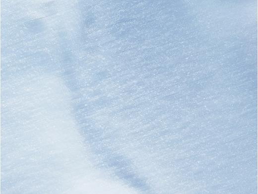 白鹿活動（個人主頁-ZNTc3Nzg0NzI=） - 電商 - 站酷設計師a123嗨原創(chuàng)素材 - 站酷ZCOOL