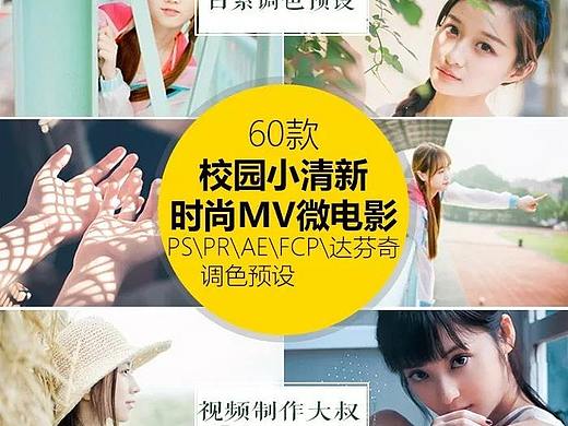日系文艺小清新60款调色预设, 支持AE/PR/FCPX/达芬奇/ps等软件