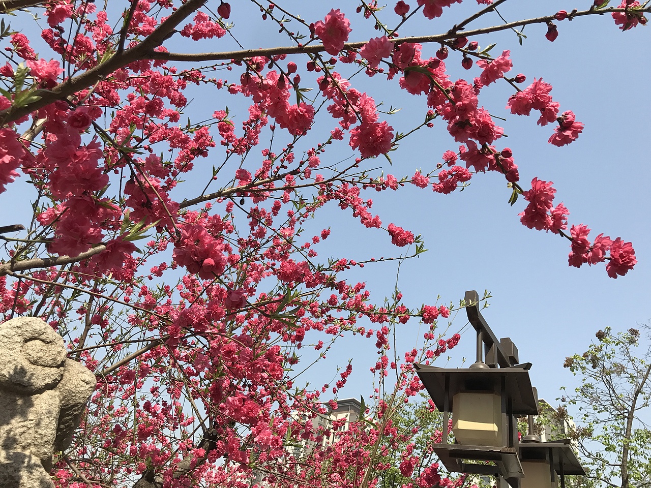 那树那水那斜阳