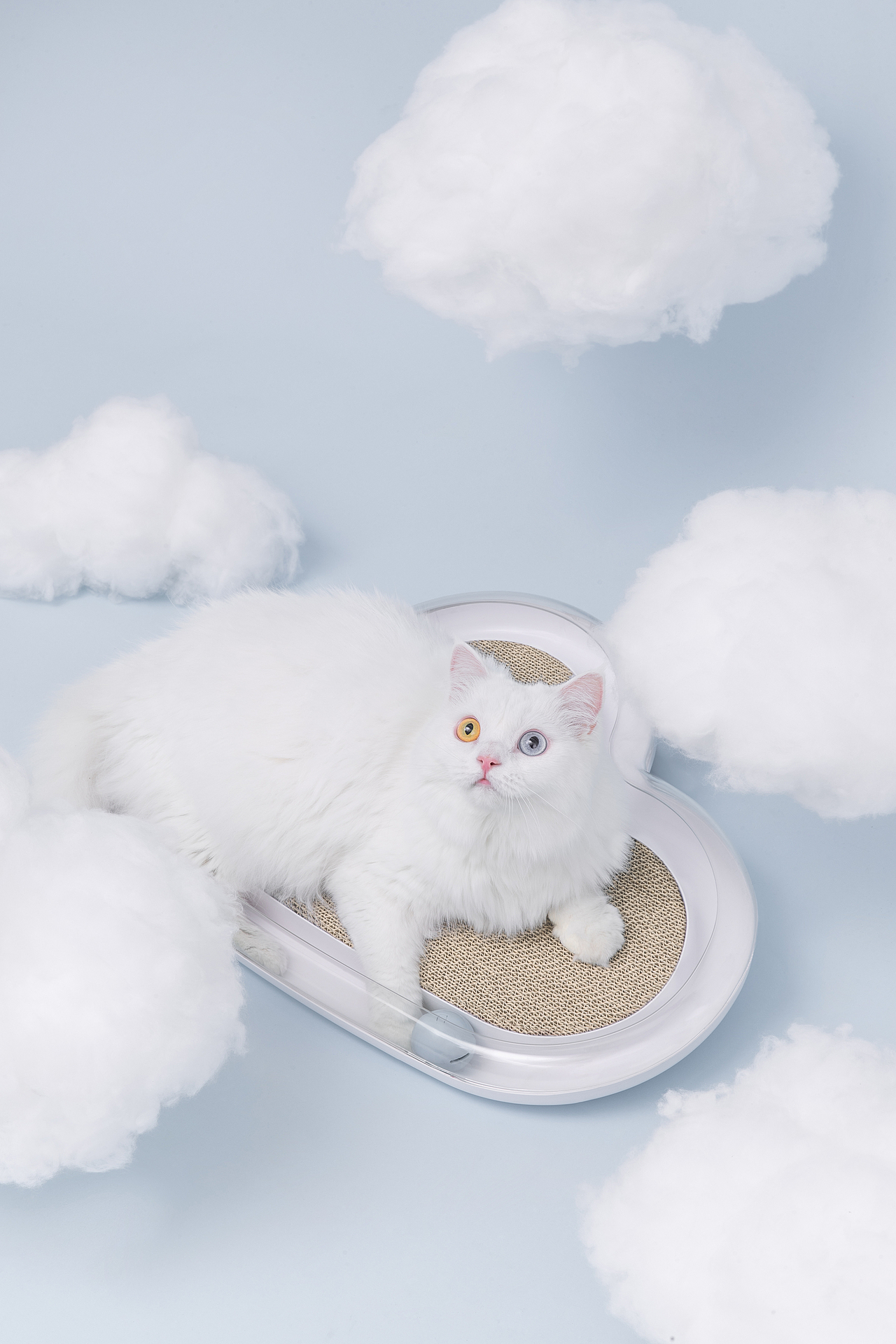 【摄影】在云上养一只猫for Furrytail猫抓板(图ZMTQzMTA3Mzcy) - 产品摄影 - 站酷设计师阿娇己原创素材 - 站酷ZCOOL