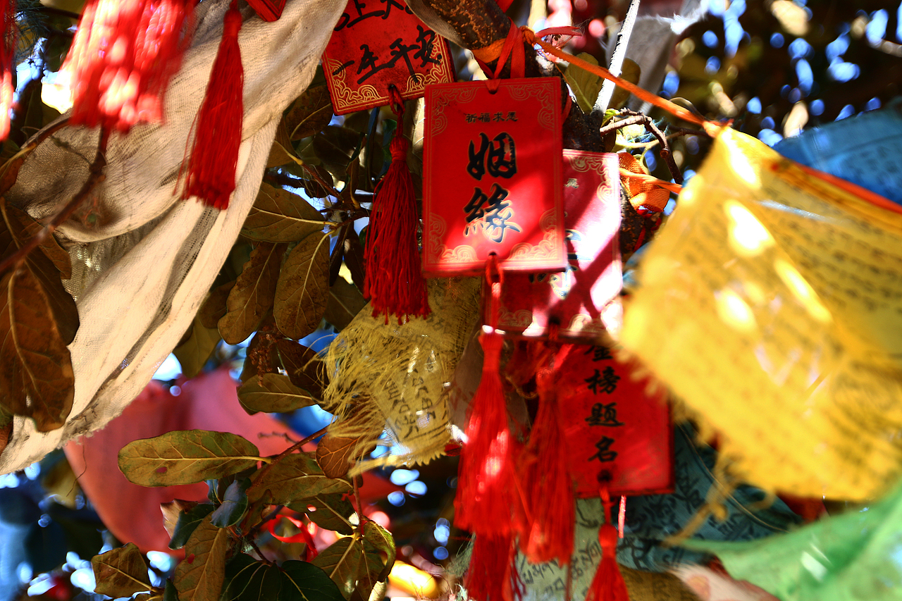 云南（图ZMTIxOTk2MDI4） - 风光摄影 - 站酷设计师Trina徐原创素材 - 站酷ZCOOL