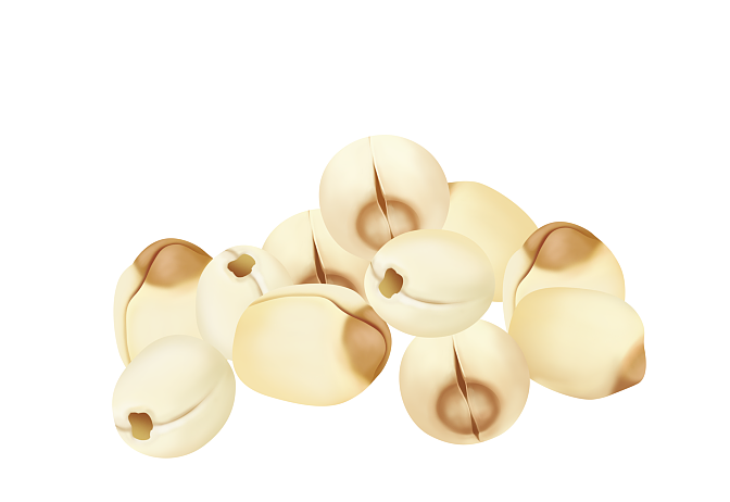 没名字系列二（图ZMjUxNTUwMjc2） - 商业插画 - 站酷设计师无厘无辑原创素材 - 站酷ZCOOL