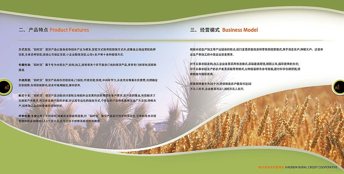 稻时代画册设计