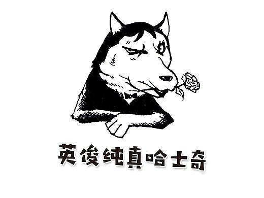 英俊纯真哈士奇