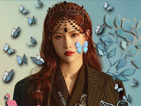 海报设计：ECHO-7S丨徐紫茵：拥抱动物