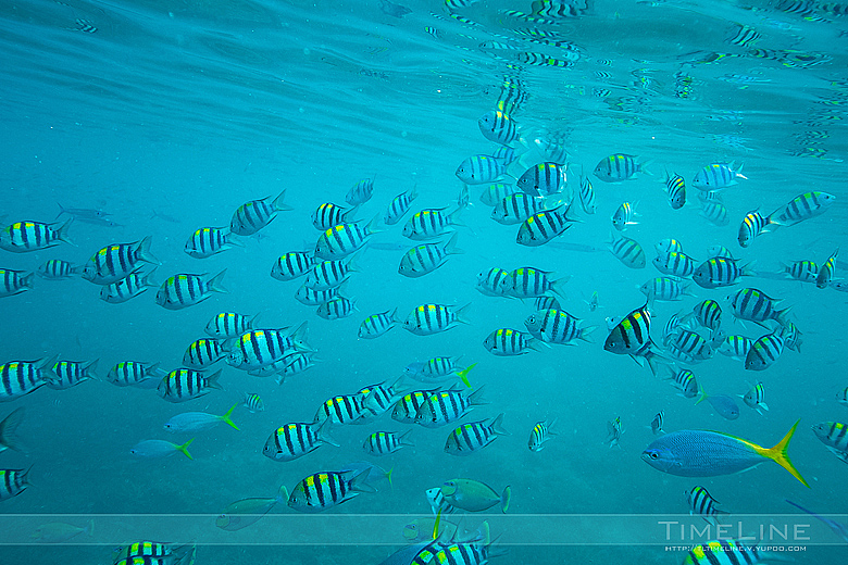 在上帝的水族箱飞翔 [Part1]（图ZMTIzMzg1NjA=） - 人像摄影 - 站酷设计师TimeLine_季冠廷原创素材 - 站酷ZCOOL