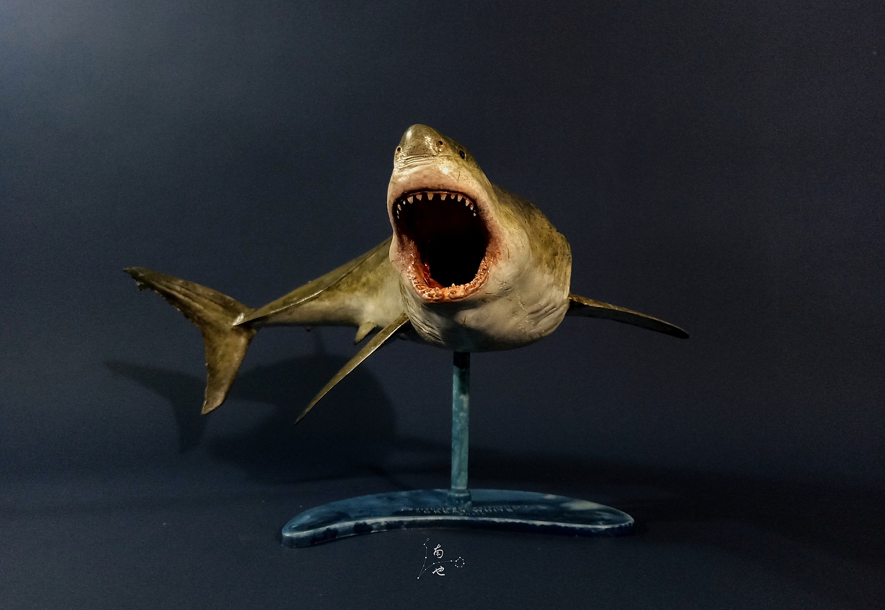 涂装作品丨pegasus hobbies 飞马大白鲨