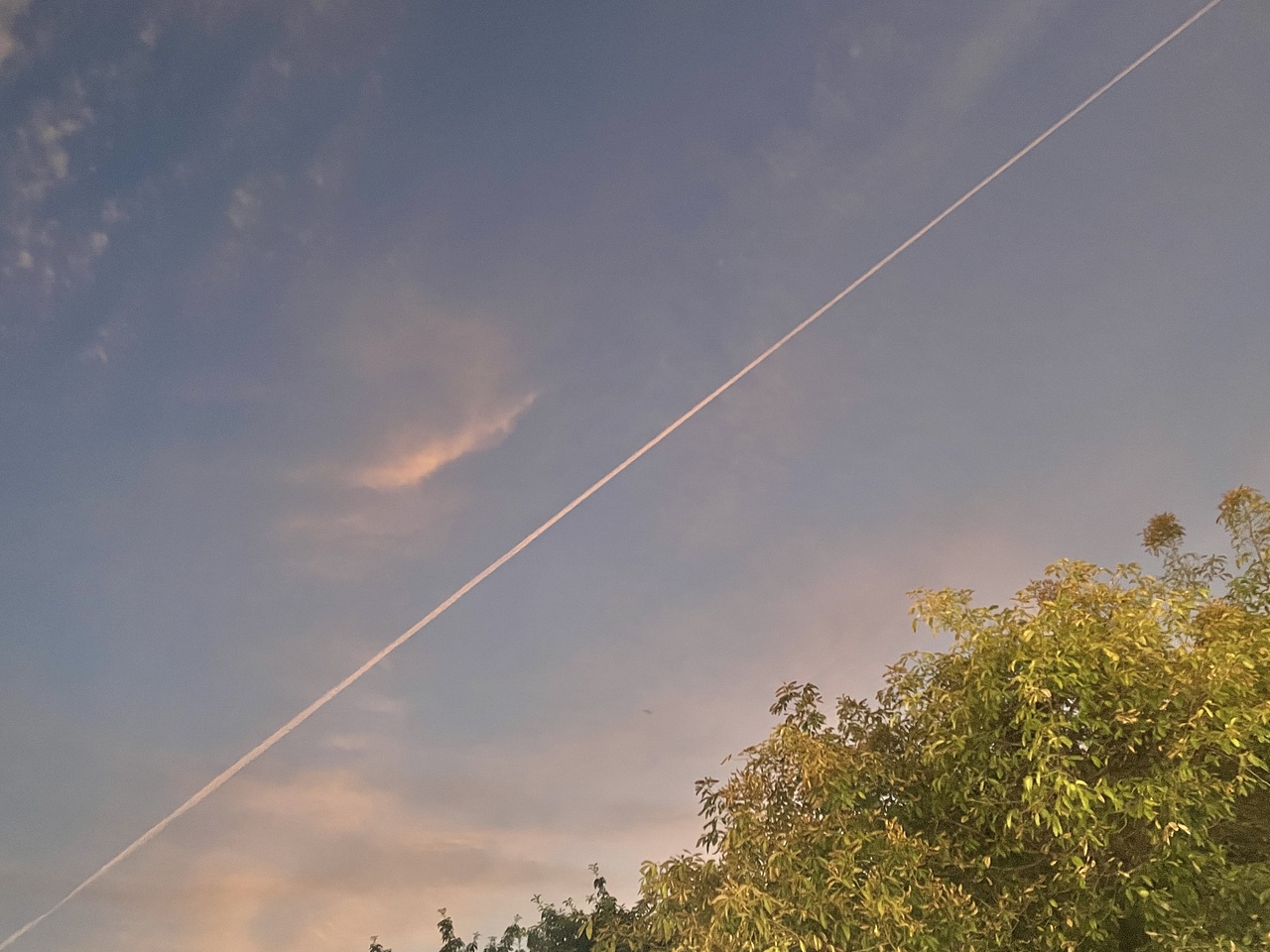 夕阳洒落到她的脸上