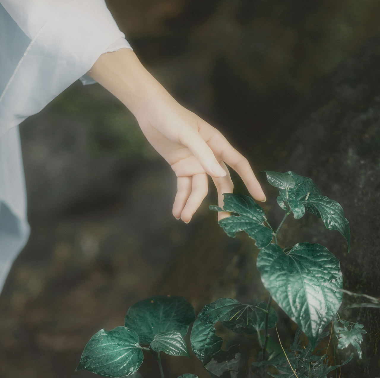 古风人像摄影（图ZMTIwNTI0NTMy） - 人像摄影 - 站酷设计师颜尽Rizet原创素材 - 站酷ZCOOL