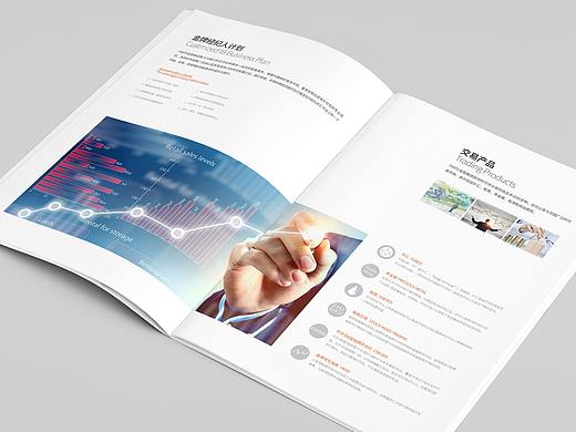 大旗金融 × 五颗蛋 | 企业画册设计