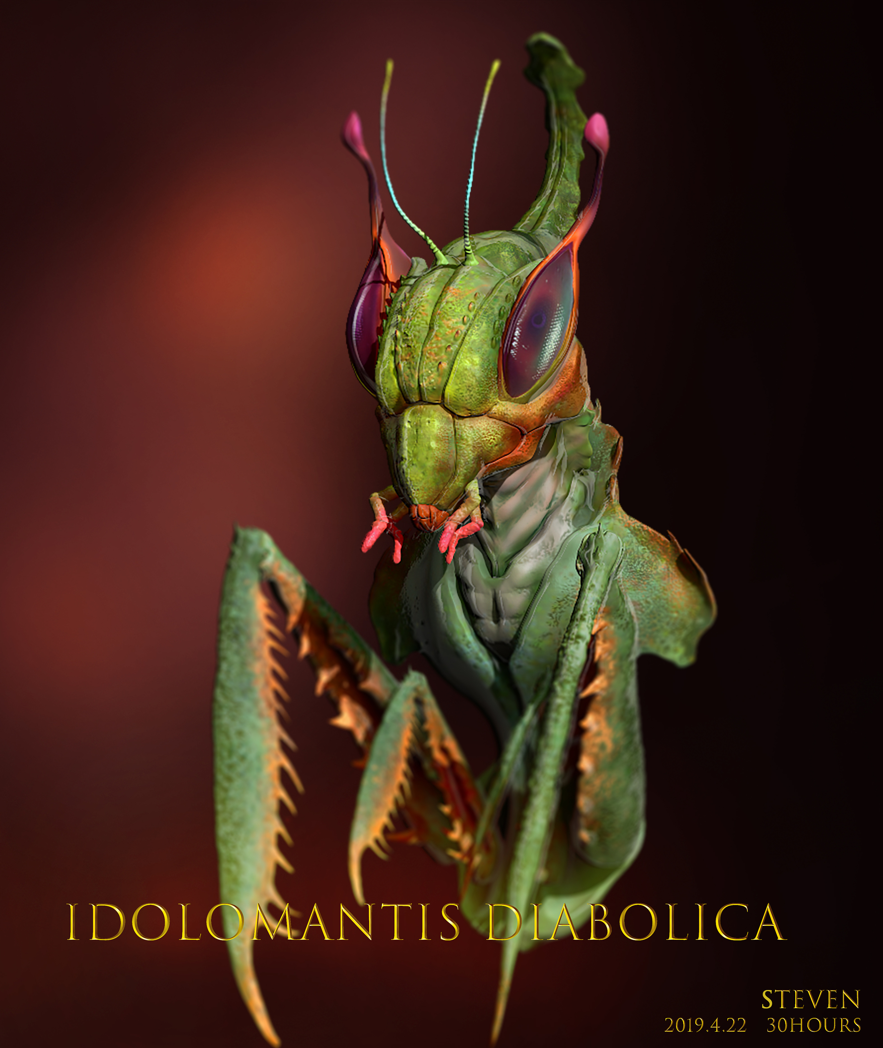 螳螂的别名恶魔图片