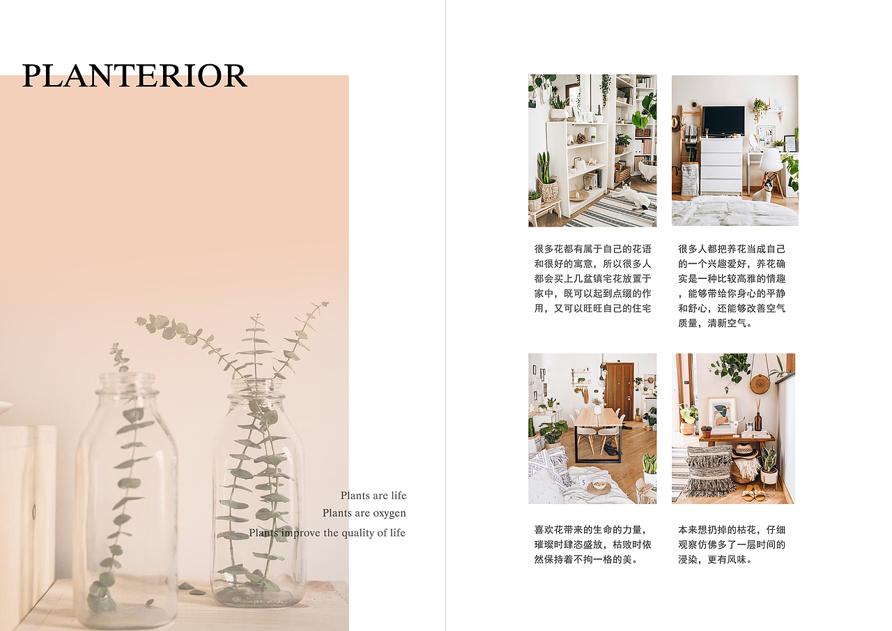 杂志排版设计（图ZMjEyNDA0MDA0） - 书籍/画册 - 站酷设计师是你的薇吖原创素材 - 站酷ZCOOL