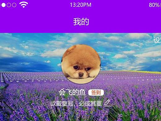 我的    app