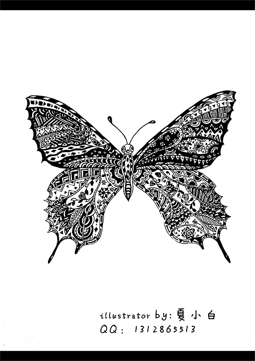 送给朋友~美丽的蝴蝶~