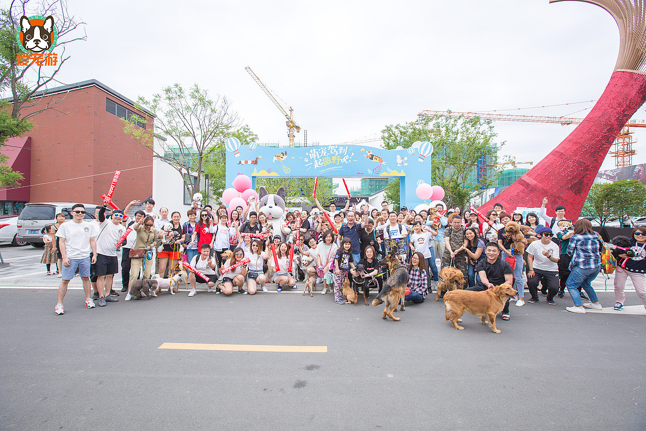 宠物出行线下活动背景板及场地效果图