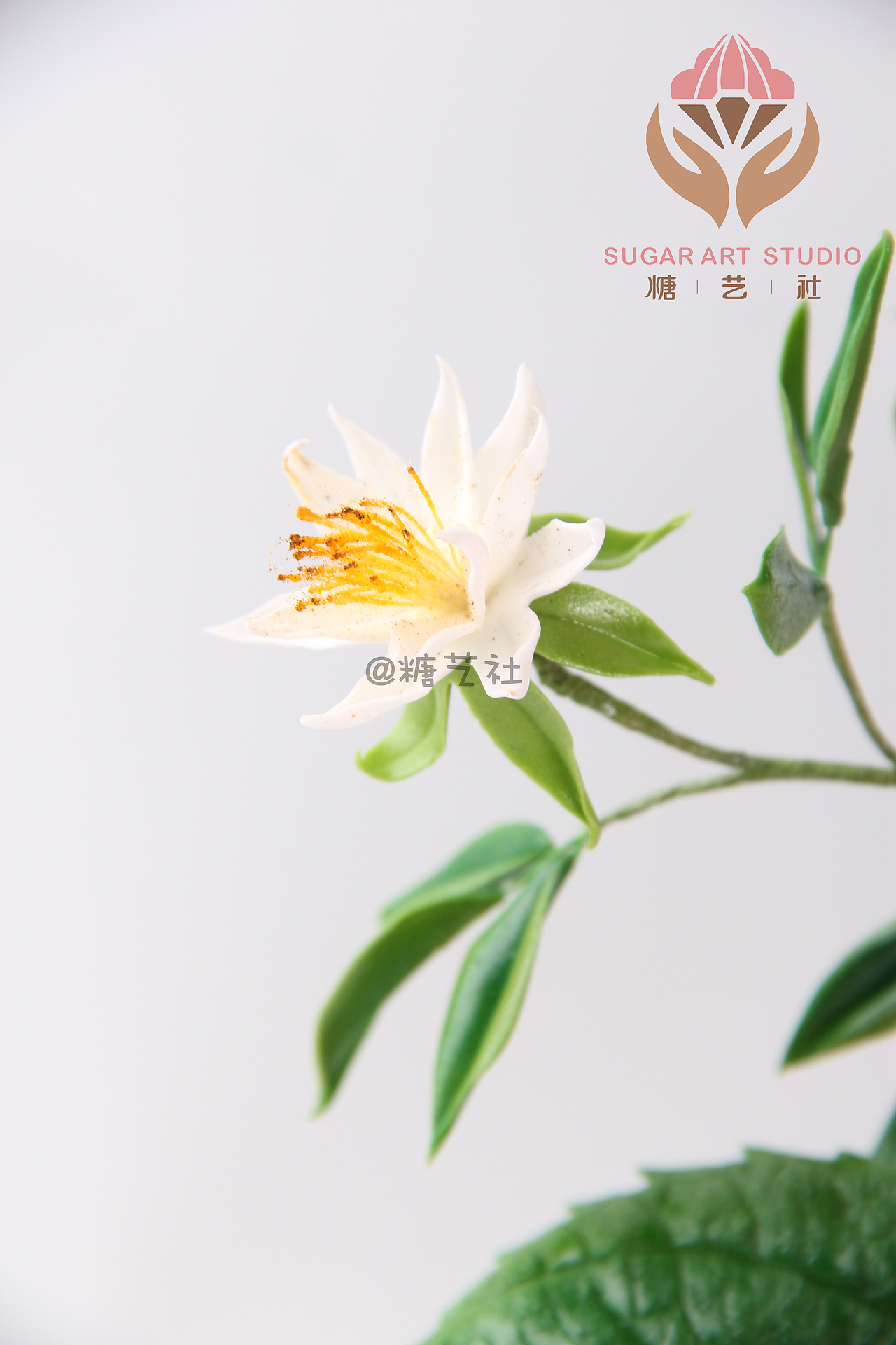 翻糖工艺大师顾碧清老师翻糖花作品--玫瑰花（图ZMTQxNTcxODcy） - 工艺品设计 - 站酷设计师糖艺社原创素材 - 站酷ZCOOL
