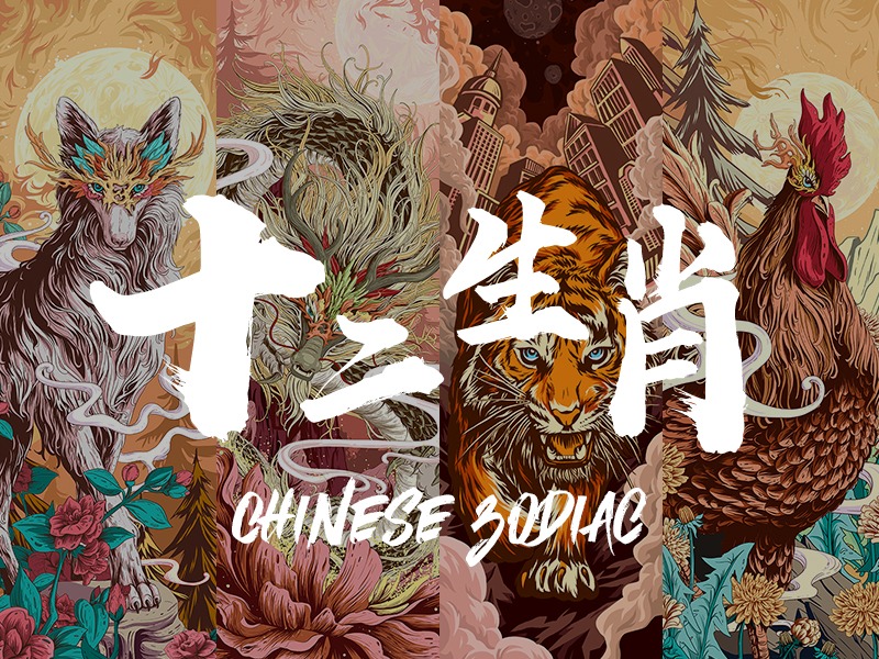 插画