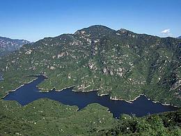 龙