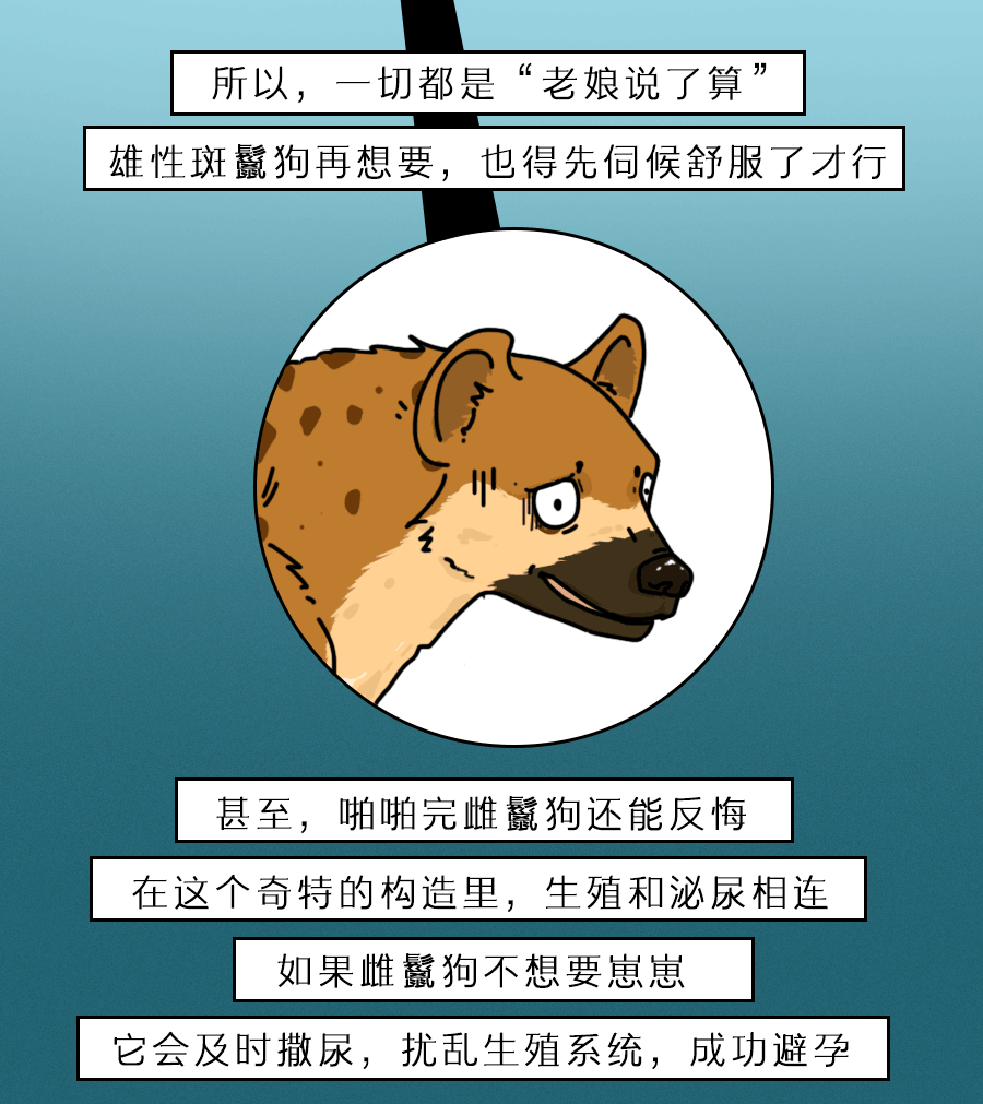 少女扶她？男装大佬？动物界真会玩…