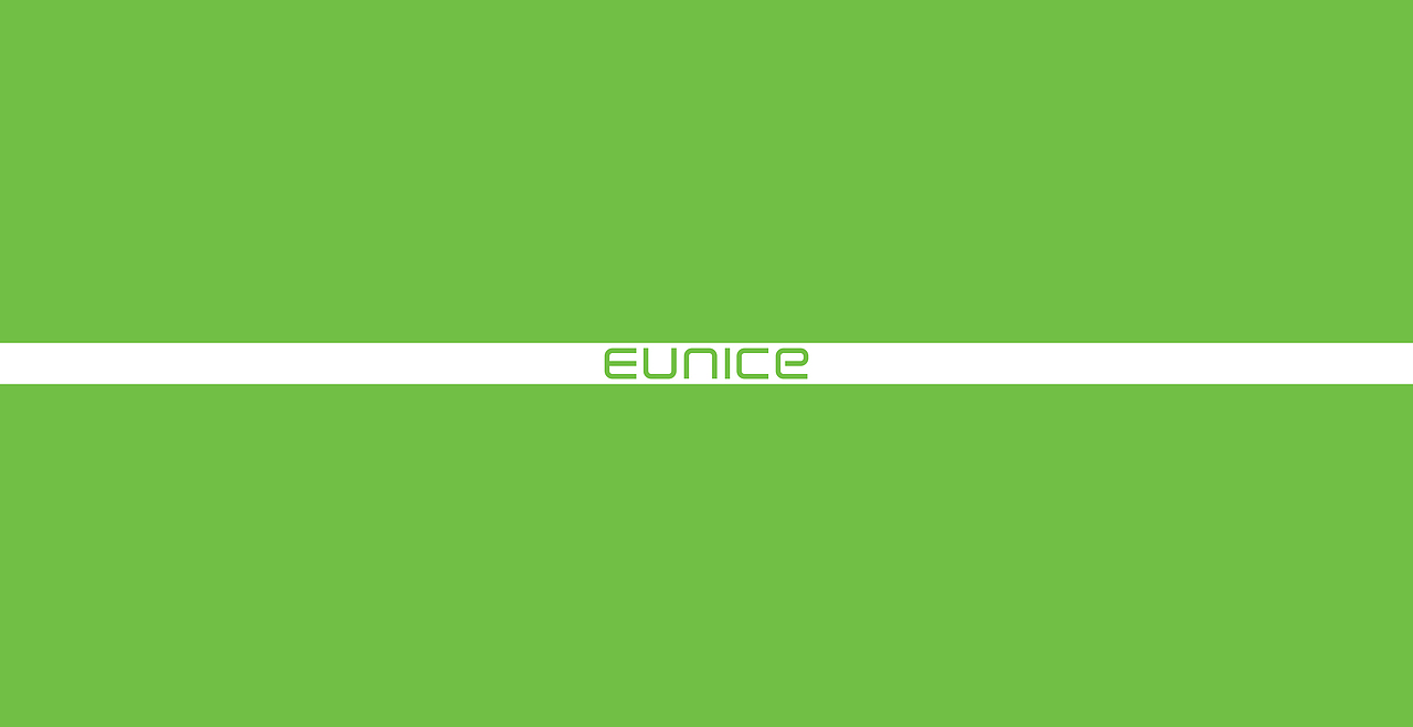 一个简单的EUNICE保护壳