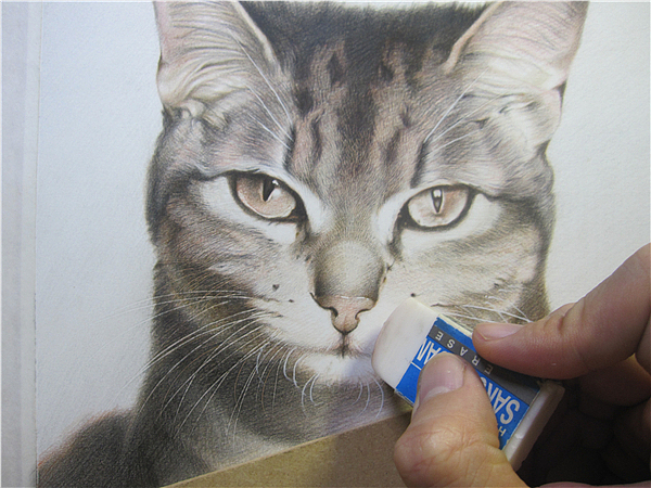 纸上彩铅--《猫爸与猫仔》纸张测试 随录