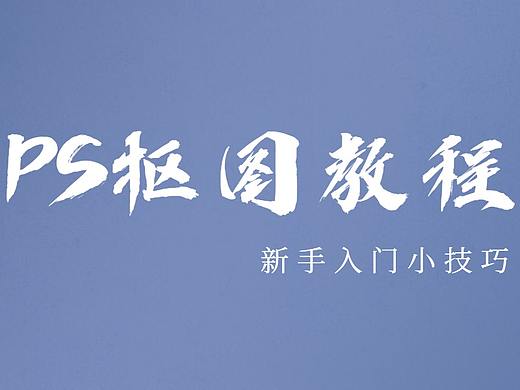 【PS抠图教程】PS新手入门|PS头纱婚纱抠图质感处理