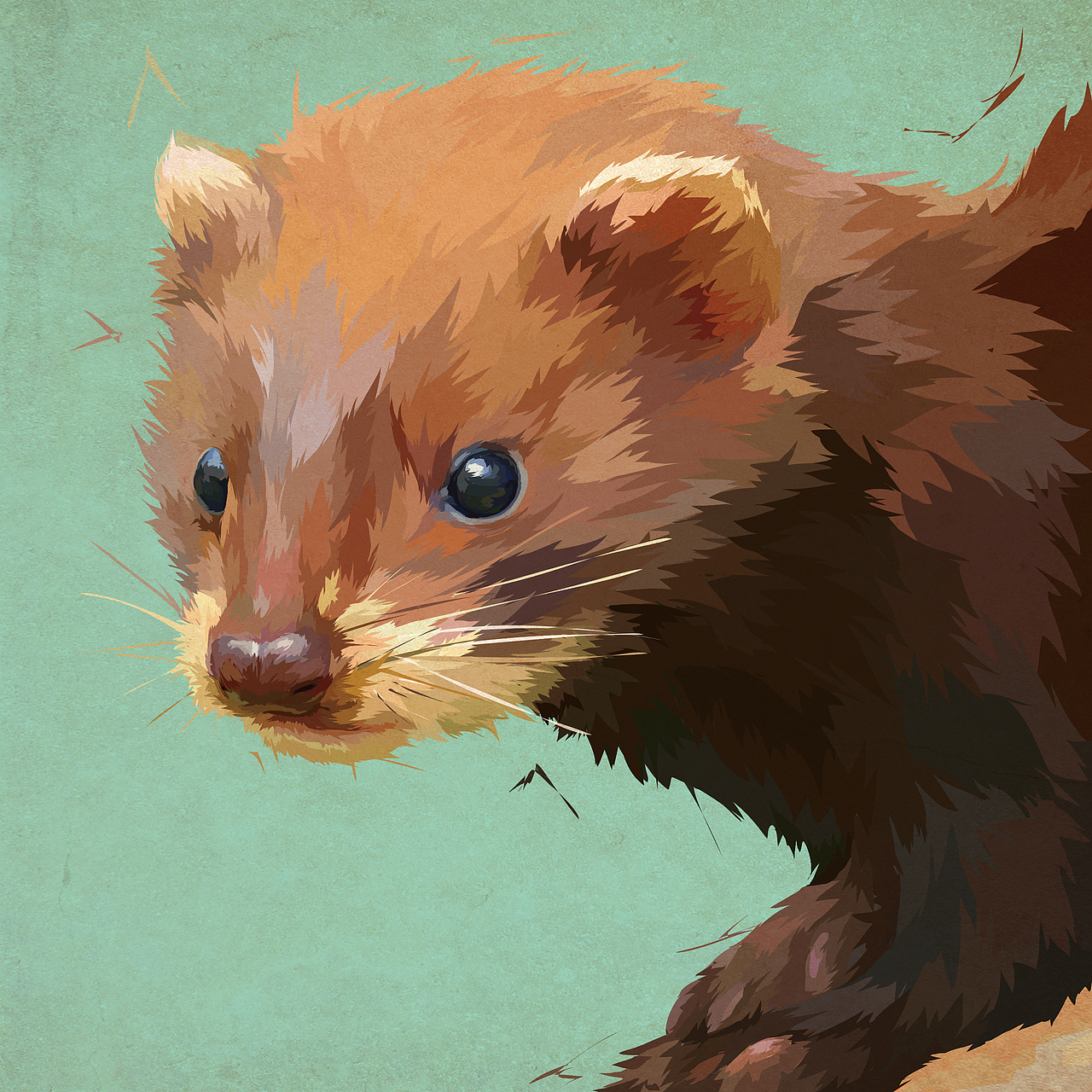 亚欧水貂1995~1999年之间灭绝