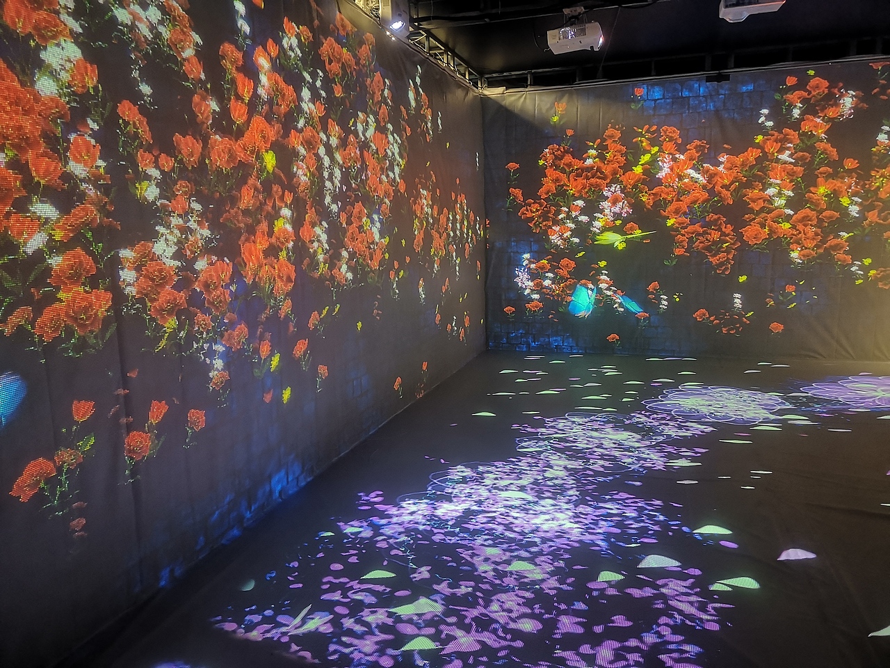 网红呼吸森林租赁 互动花海 互动鲸鱼