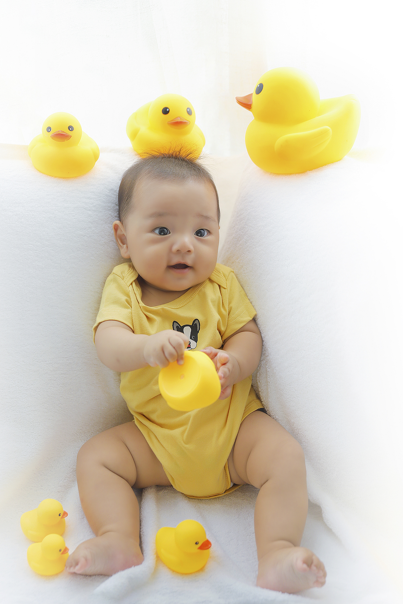 七彩虹·黄金时代