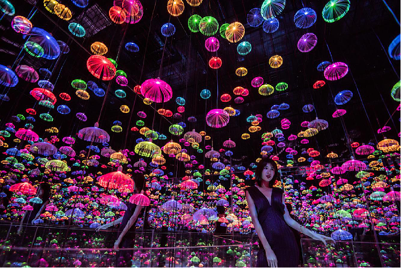 特色网红打卡点灯光矩阵 镜花宫 梦幻森林 呼吸灯