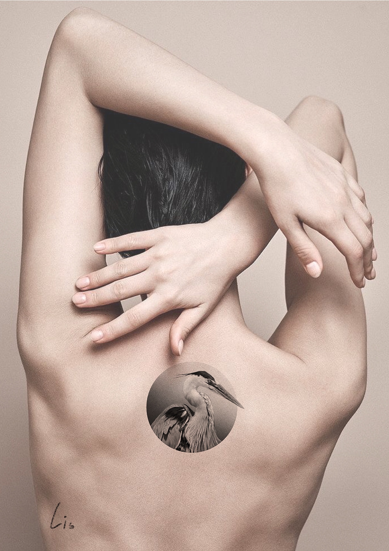 素描单针雕塑/鸟类小清新文身设计（图ZMTg3OTI3ODI0） - 图案 - 站酷设计师夏莉斯原创素材 - 站酷ZCOOL