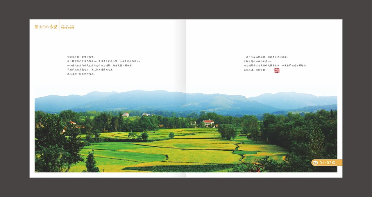 金色的希望 乡镇 画册（图ZMzYzNTc4NjQ=） - 书籍/画册 - 站酷设计师fxy216ccc原创素材 - 站酷ZCOOL