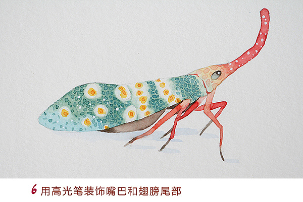 水彩龙眼鸡过程