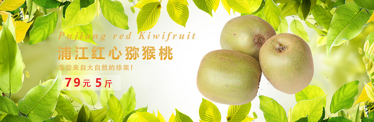 电商猕猴桃、龙眼、banner（图ZMzM0MjE5OTI=） - 运营设计 - 站酷设计师小野狼原创素材 - 站酷ZCOOL