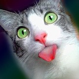 何壹插画heyi的头像