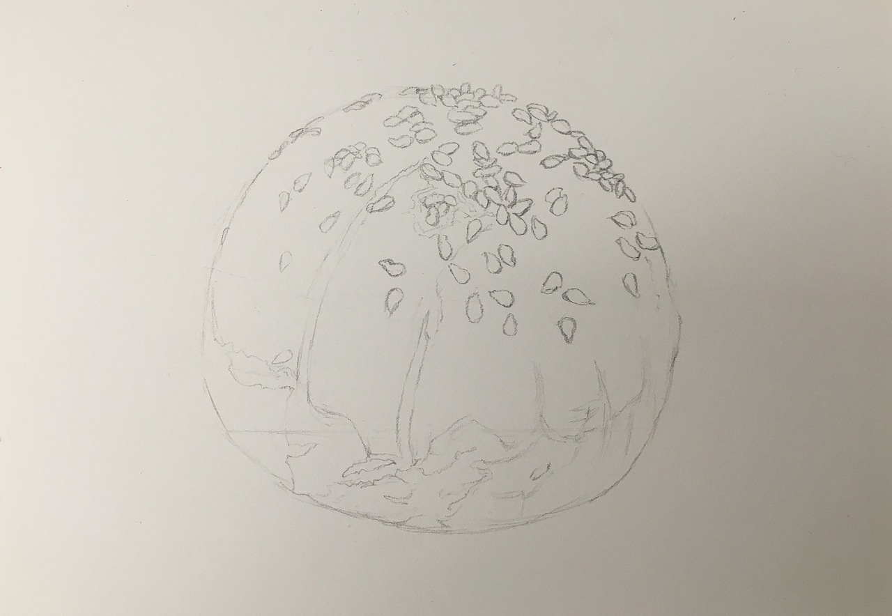 彩铅画【蛋黄酥】