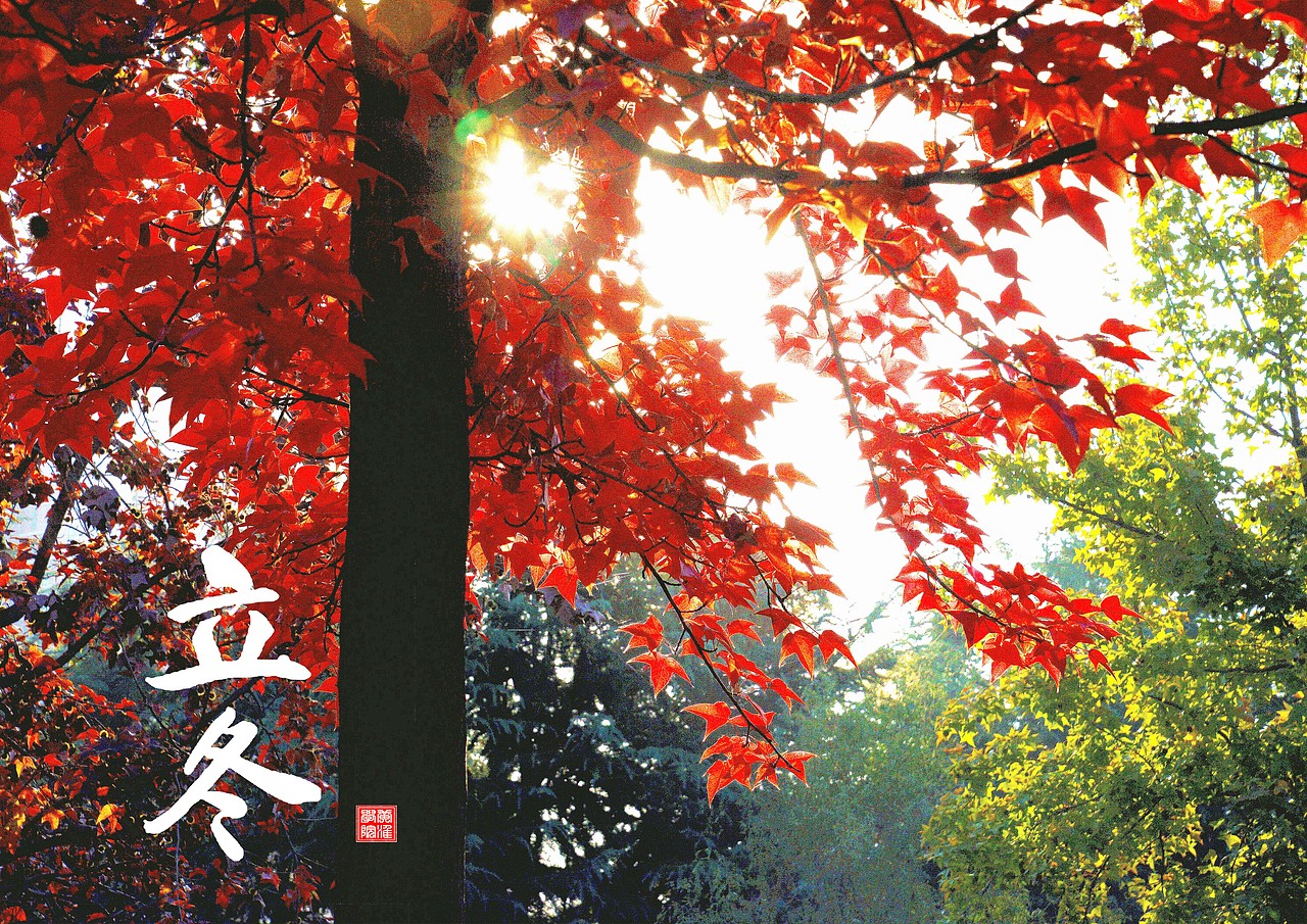 中国风节气海报（图ZNjQ1MzQ0MjQ=） - 海报 - 站酷设计师平地一声雷原创素材 - 站酷ZCOOL