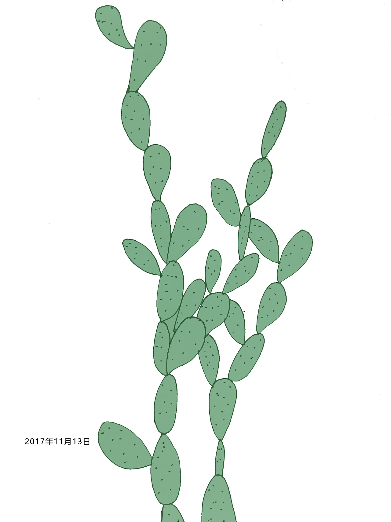 仙人掌|插画|插画习作|透过窗花看月亮 - 原创作品 - 站酷 (zcool)