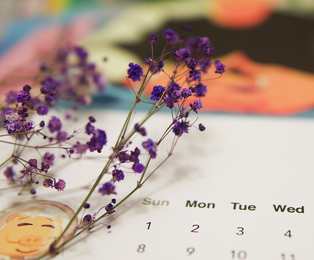 P-YOYO-P 2019年做个潮范小公举