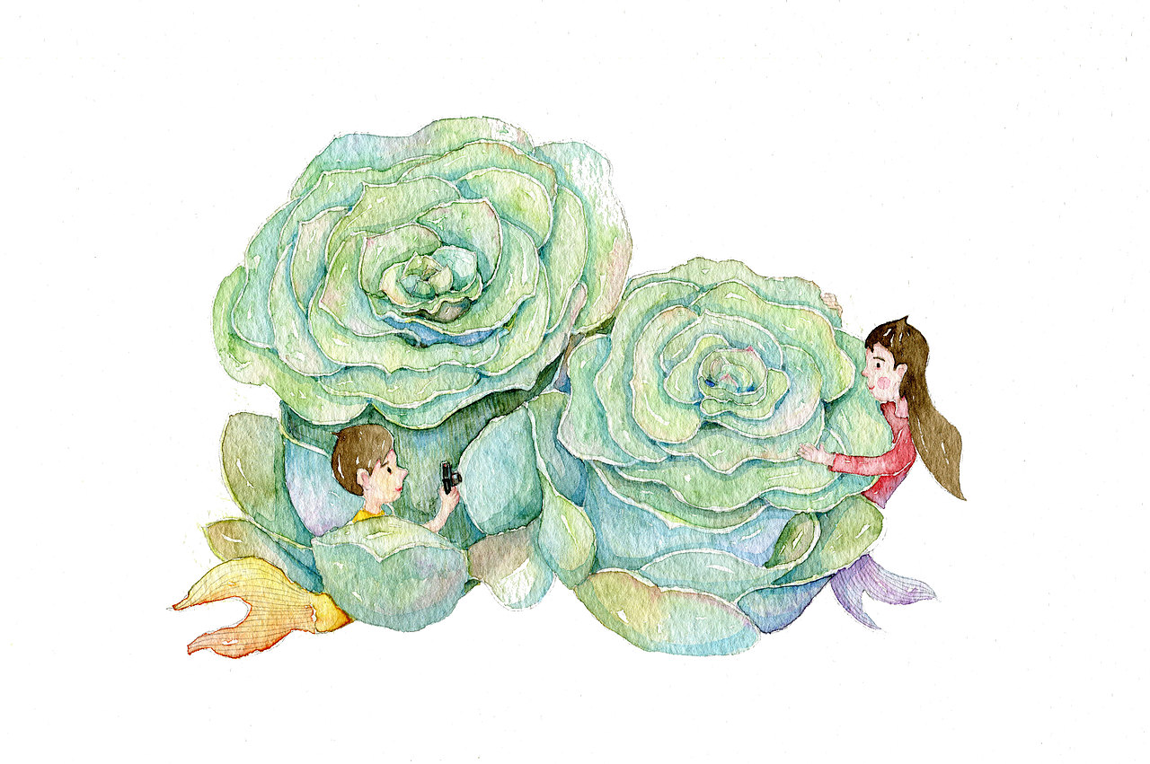 萌萌的多肉植物精灵图系列