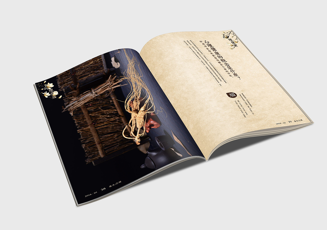 養(yǎng)生雜志設(shè)計（圖ZMTEwNDU4MzQw） - 書籍/畫冊 - 站酷設(shè)計師湯可幣原創(chuàng)素材 - 站酷ZCOOL