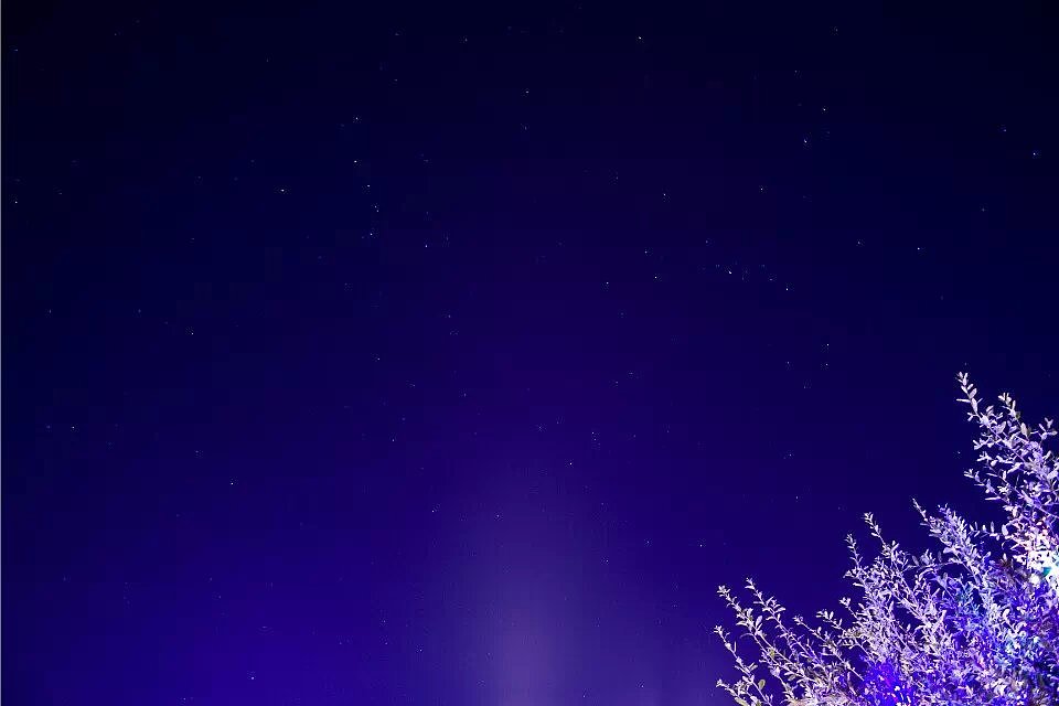 分享生活-圣诞(美国-休斯顿)