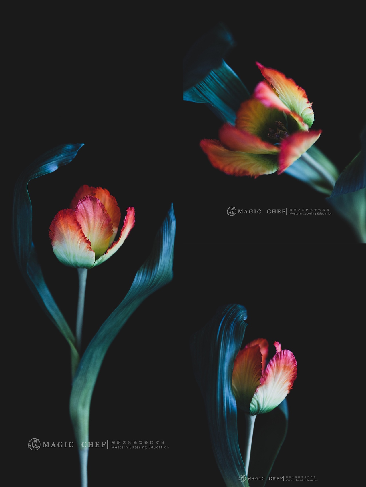 粘土手作花卉拍摄暗色系静物花卉拍摄花艺拍照花朵拍照（图ZMzAyMjI1MDQw） - 美食摄影 - 站酷设计师MOON大静原创素材 - 站酷ZCOOL