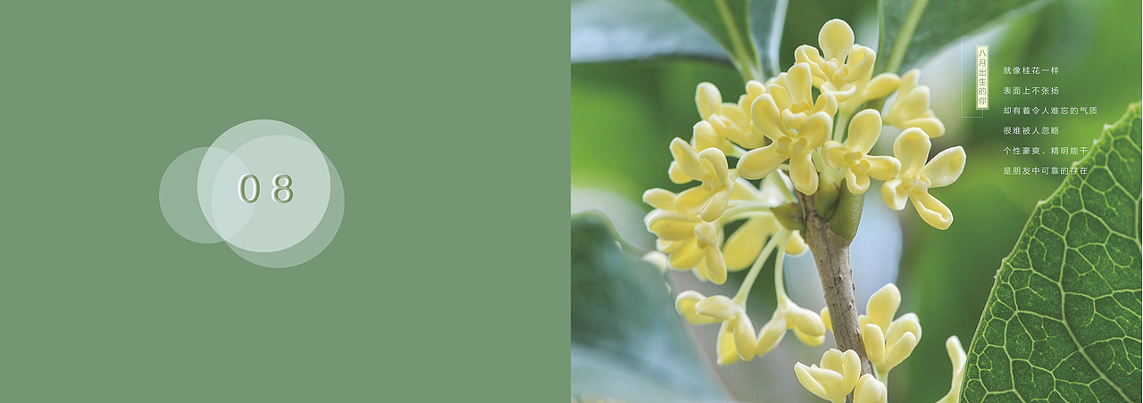 纪念（图ZMTI5MjE1MjQ4） - 书籍/画册 - 站酷设计师三木C原创素材 - 站酷ZCOOL