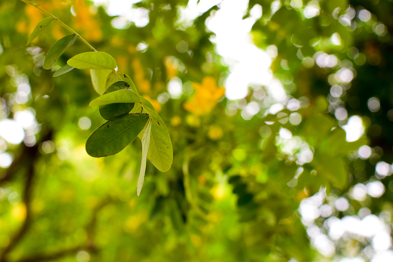 生活杂图（图ZMTQwOTMxMDM2） - 其他摄影 - 站酷设计师DuckL原创素材 - 站酷ZCOOL