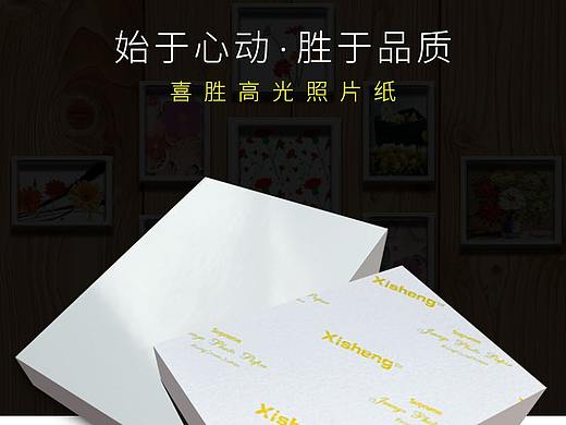 相纸