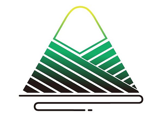 粽子映像logo设计