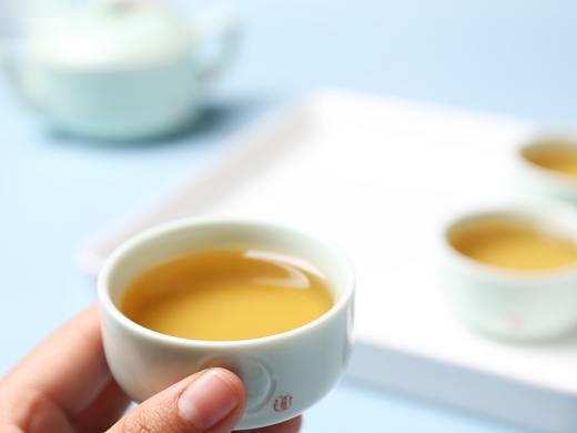 普洱茶 生茶 茶汤