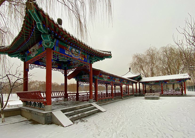 刘勇良手机纪实摄影:北京雪后的风景之国风篇