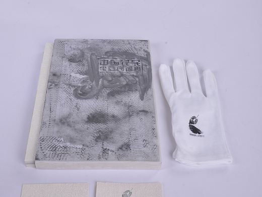 《中国农民尘肺病调查》书籍设计(在校设计作品)